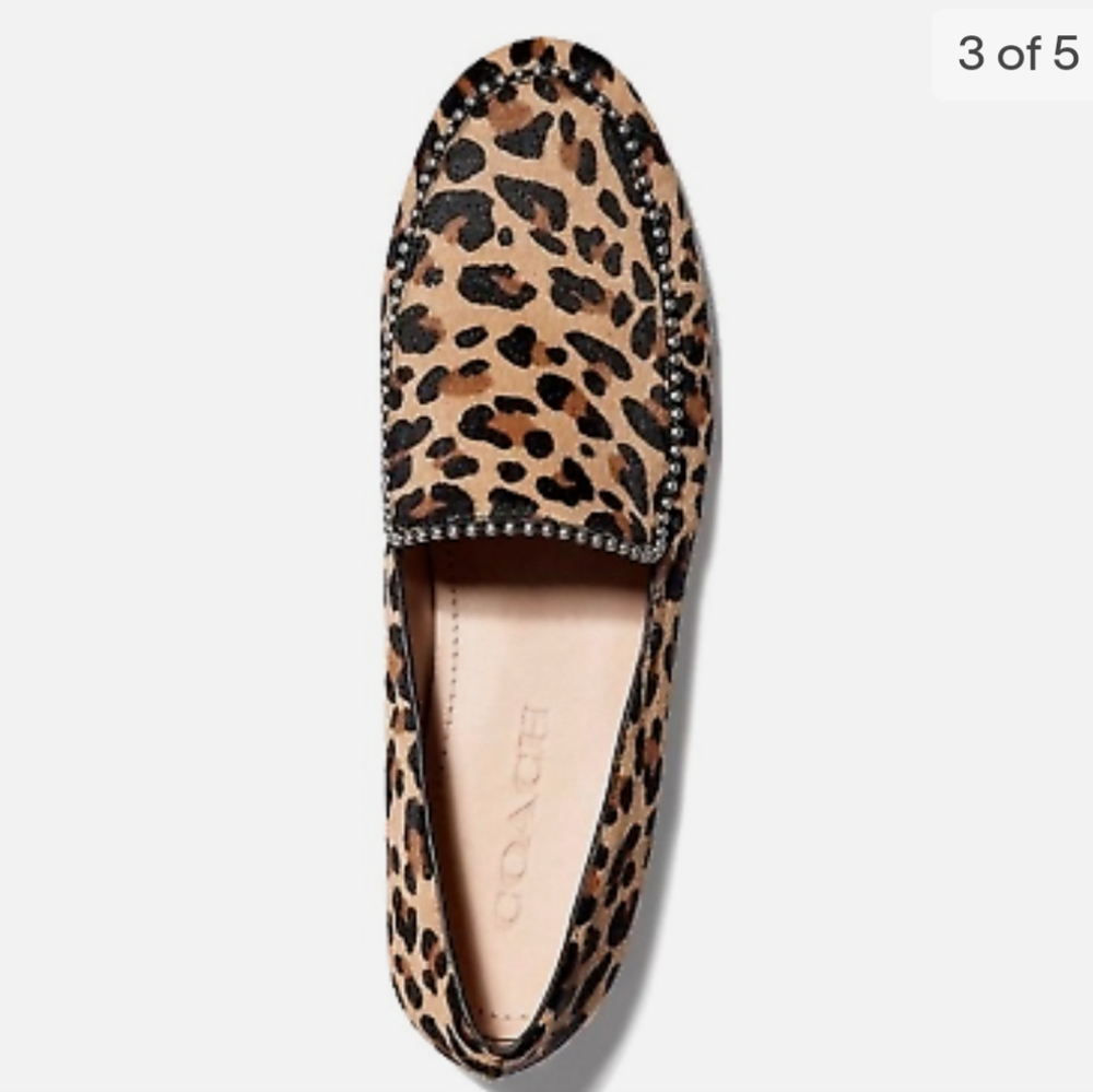 Coach Harper Calf Hair Studded Loafers